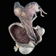 Illustration for article titled The Placenta Was Your First Reproductive Organ